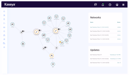 Network discovery and mapping