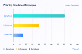 Phishing Simulation Campaigns